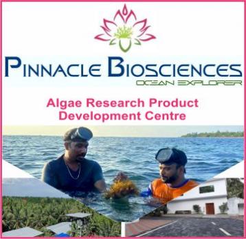 PINNACLE%20BIOSCIENCES