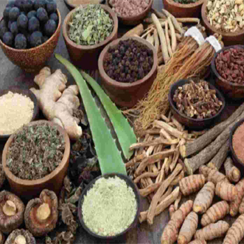 AROMA%20SIDDHA%20VARMA%20YOGA%20CLINIC