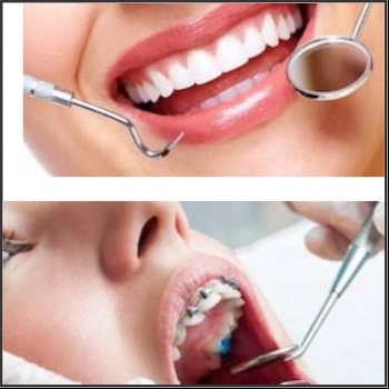 THE%20DENTAL%20HUT