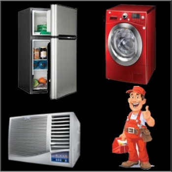 JOHNSON%20COOL%20SERVICE