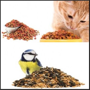 RS%20AQUARIUM%20%26%20PETS%20SHOP