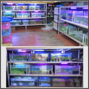 RS%20AQUARIUM%20%26%20PETS%20SHOP