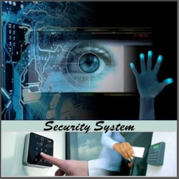 RAPID%20INFO-TECH%20%26%20SECURITY%20SYSYTEMS