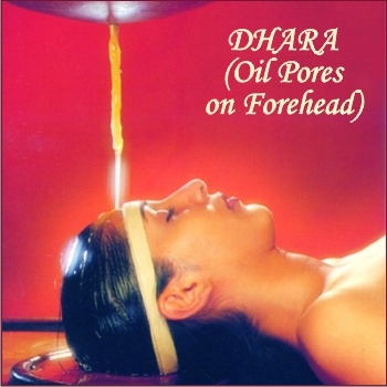 DEVASAHAYAM%20VAIDYASALAI