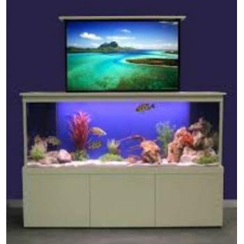 RIFI’S AQUARIUM