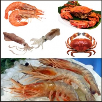 S.K.%20FISHERIES