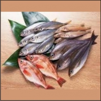 S.K.%20FISHERIES
