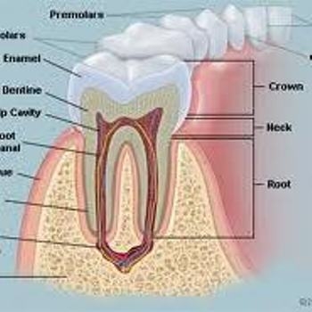 R.V.MULTISPECIALITY DENTAL CAARE