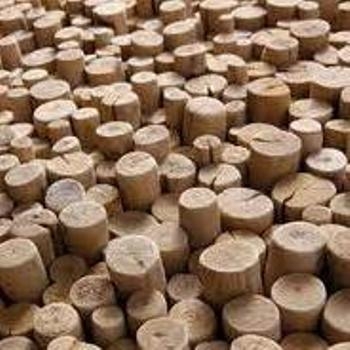 RAJAN%20TIMBER%20DEPOT